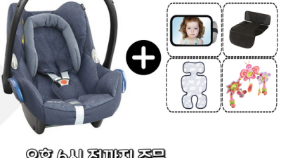 놓치면 후회! 오이스터3 카시트 솔직 후기 & 꿀팁🍯