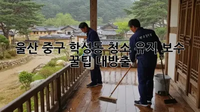 울산 중구 학성동 청소 유지 보수, 꿀팁 대방출! ✨